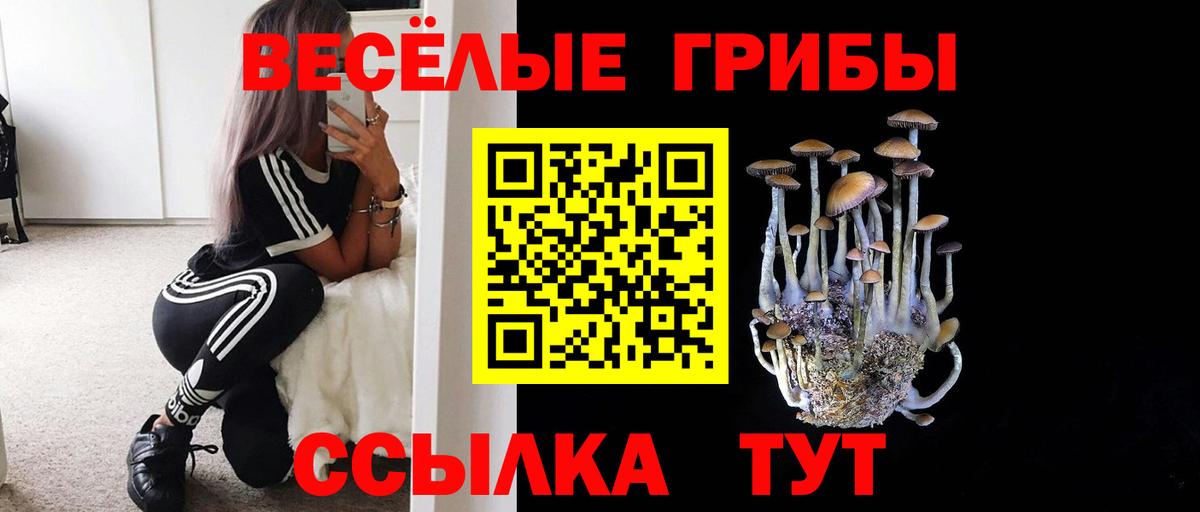 Галлюциногенные грибы мухоморы  Вход с VPN  Усинск 